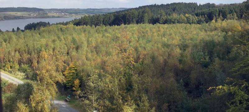 Geführte Wanderung durch den Arnsberger Wald