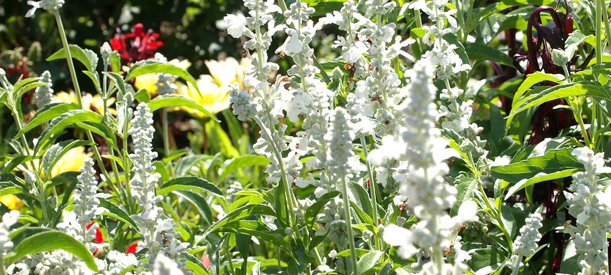 Das Wochenende im Kreis Soest