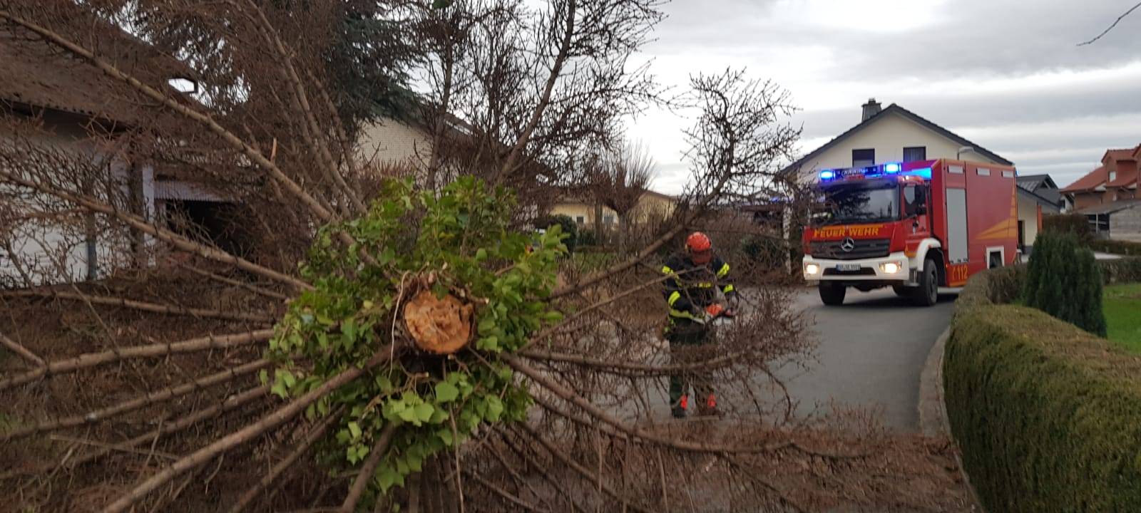 Update (15.11 Uhr) Orkantief Sabine im Kreis Soest - Sperrungen und Schulschließungen