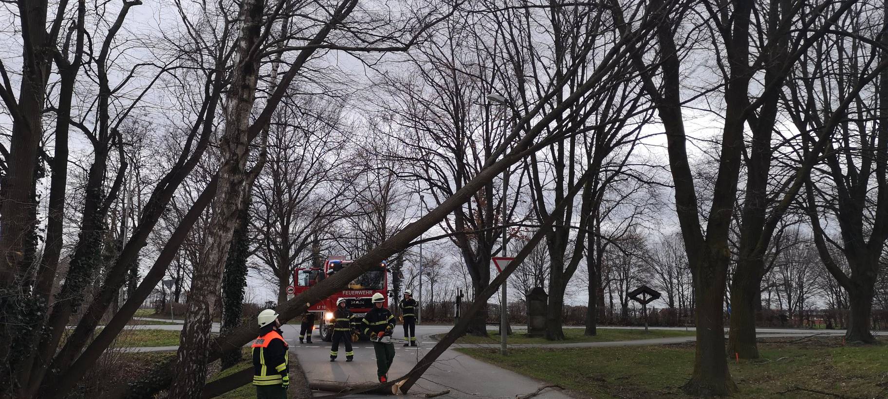 Update (15.11 Uhr) Orkantief Sabine im Kreis Soest - Sperrungen und Schulschließungen