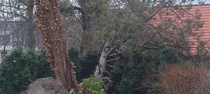 Update (15.11 Uhr) Orkantief Sabine im Kreis Soest - Sperrungen und Schulschließungen