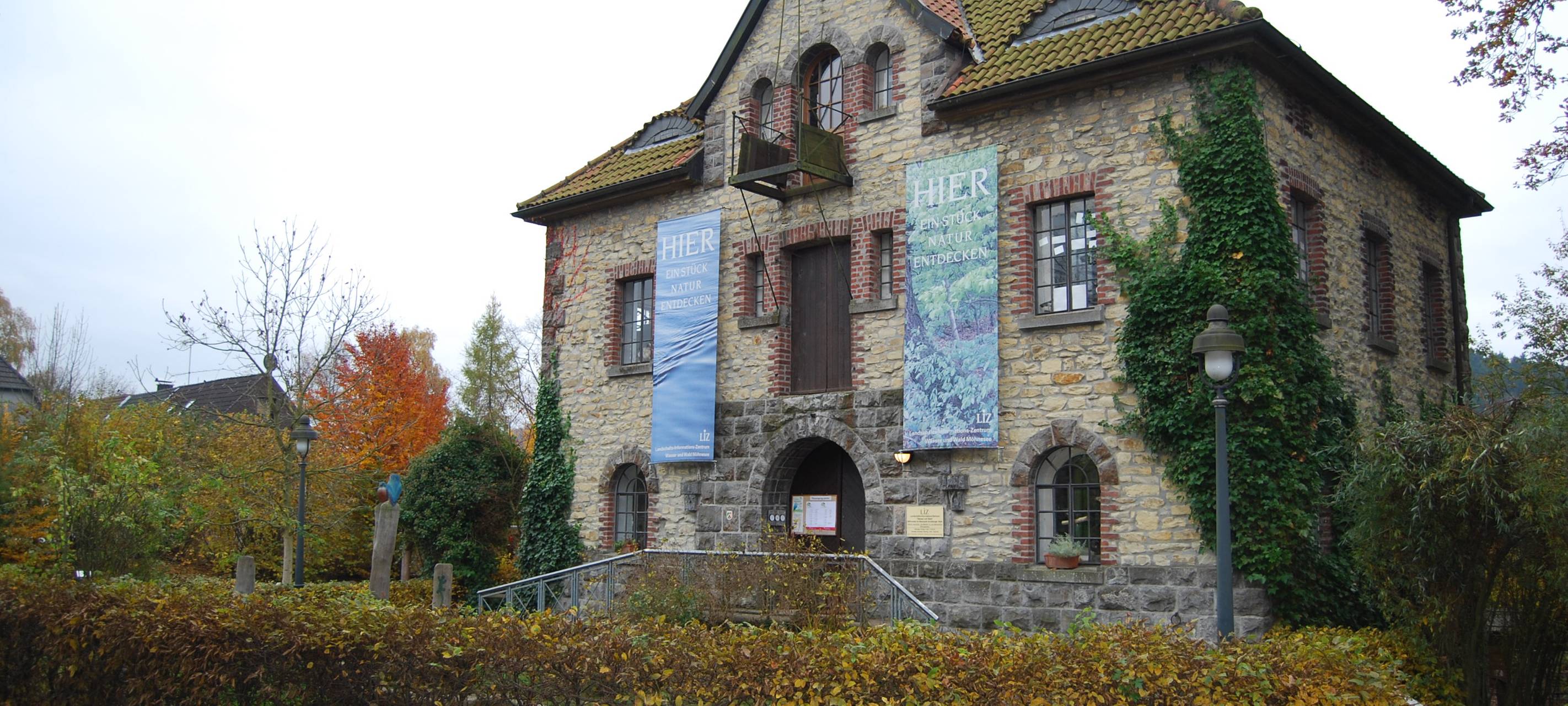 Freiwilliger Einsatz für die Umwelt