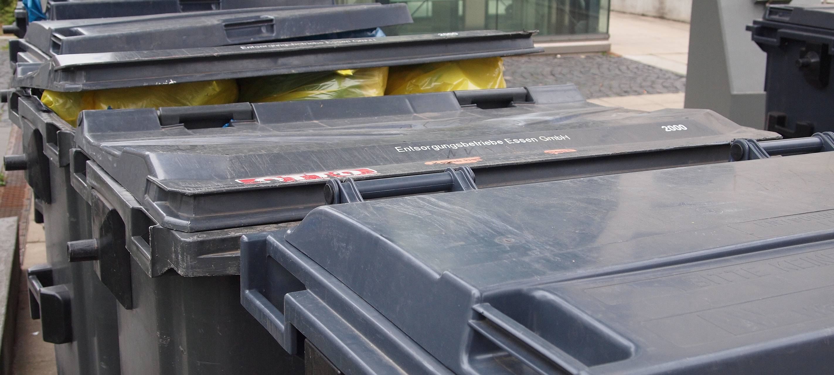 Mülltonnen-Kontrolle am Möhnesee