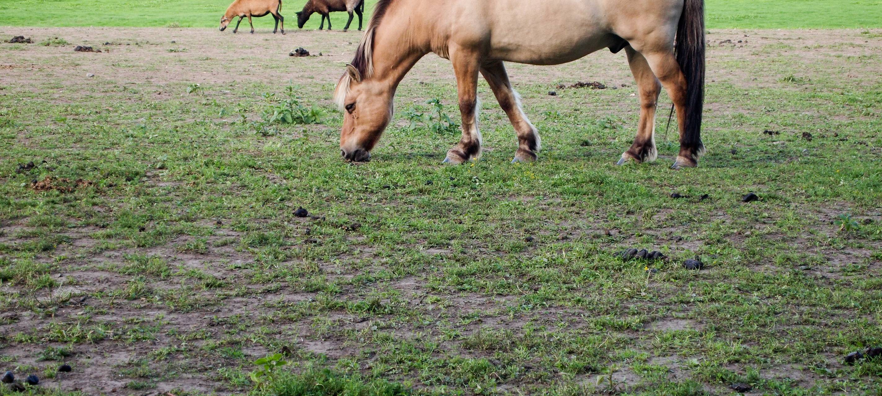 Tierparks wieder geöffnet