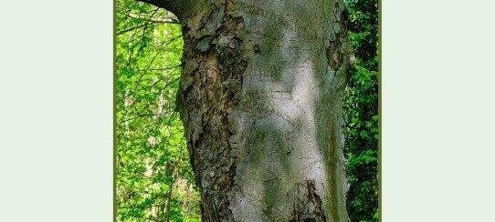 Fotoausstellung Schloss Eggeringhausen