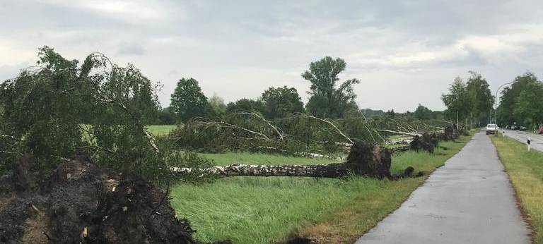 Alle aktuellen Infos zum Unwetter im Kreis Soest