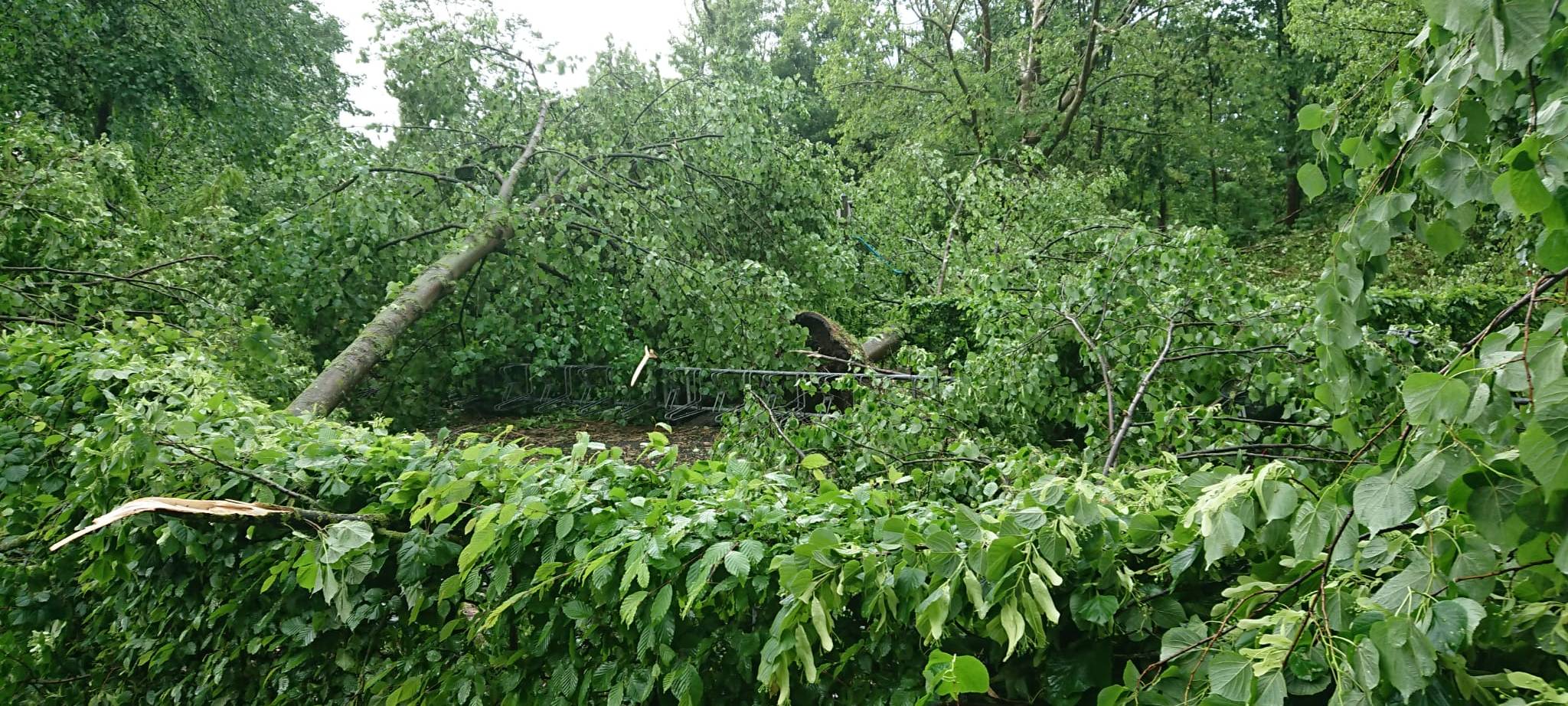 Alle aktuellen Infos zum Unwetter im Kreis Soest