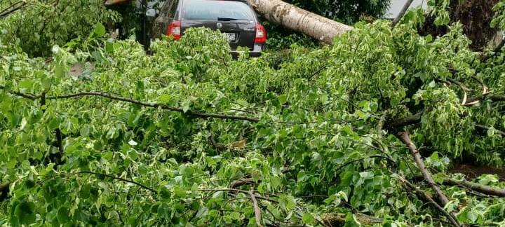 Alle aktuellen Infos zum Unwetter im Kreis Soest