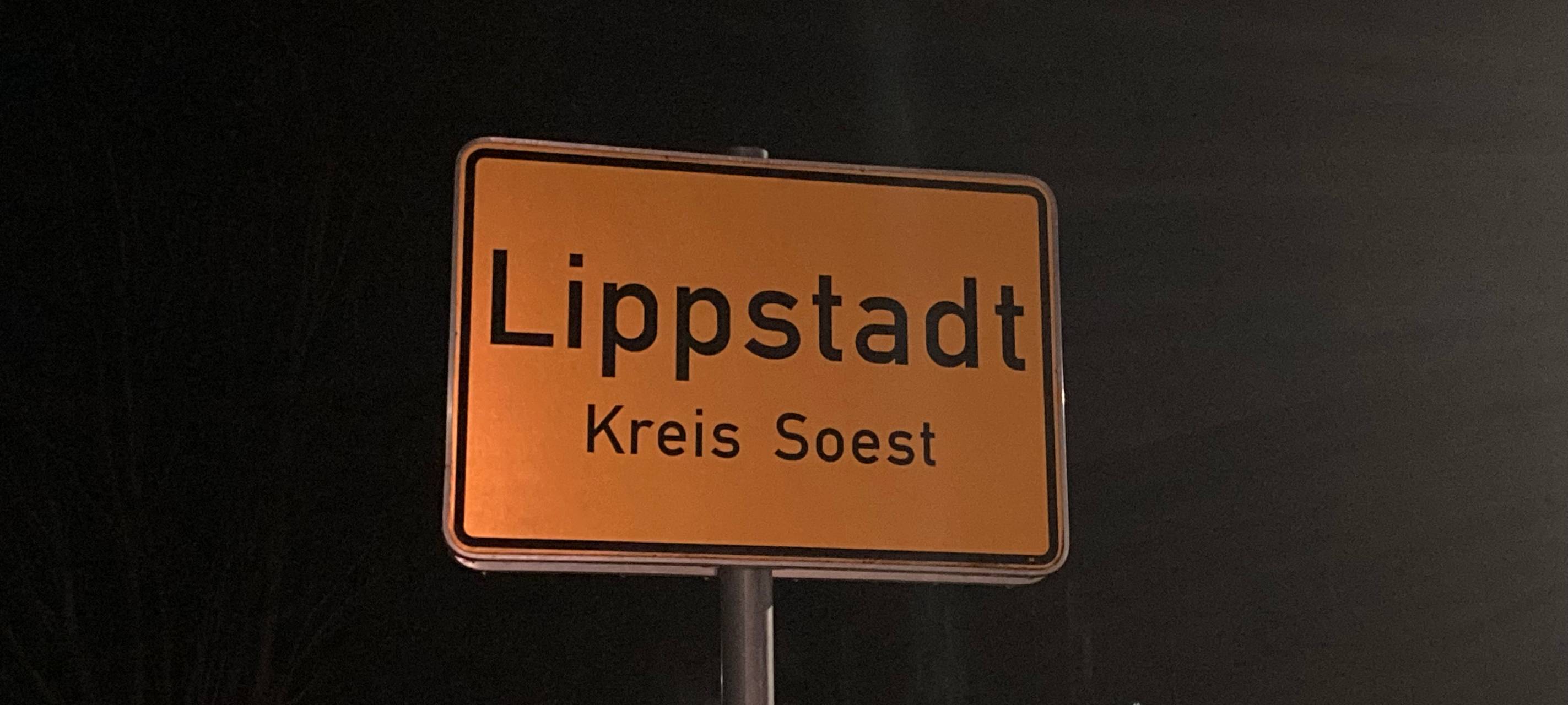 Monster-Truck-Show in Lippstadt