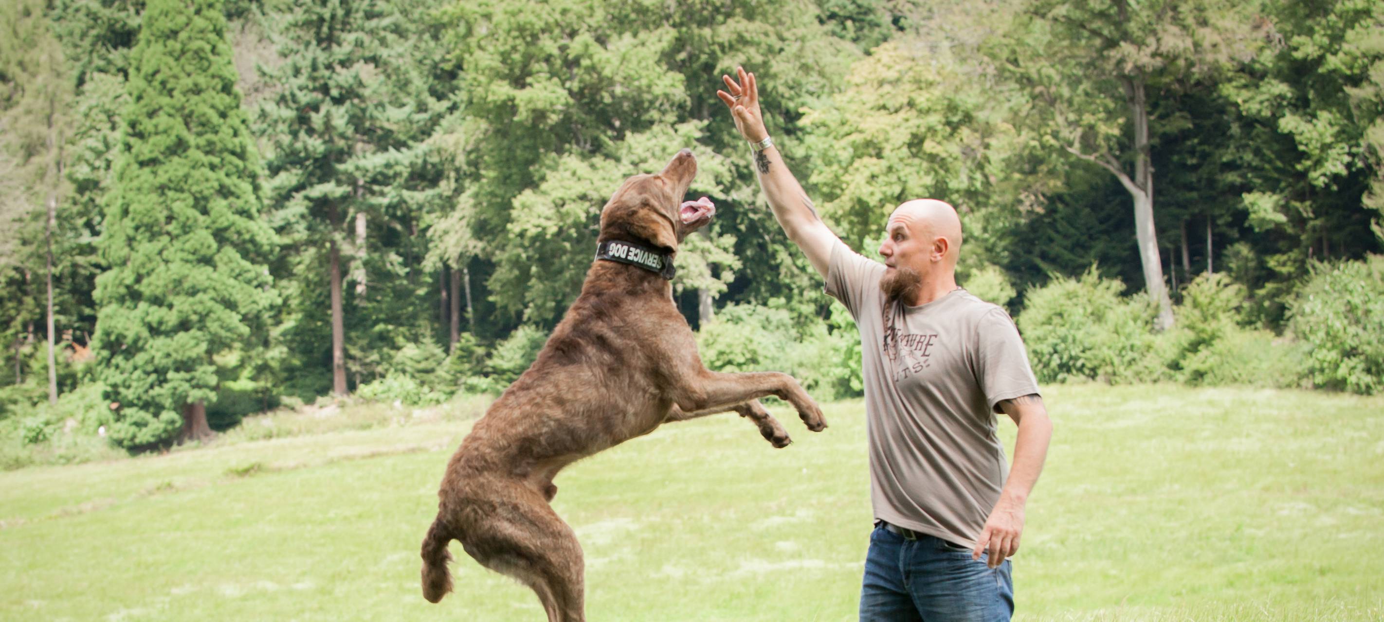 Hundeerziehung mit Holger Schüler