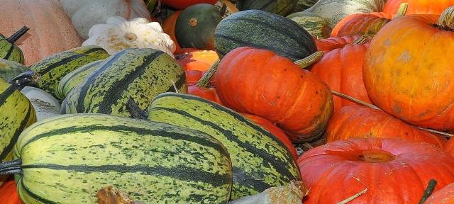 Veranstaltungstipps für das Wochenende im Kreis Soest