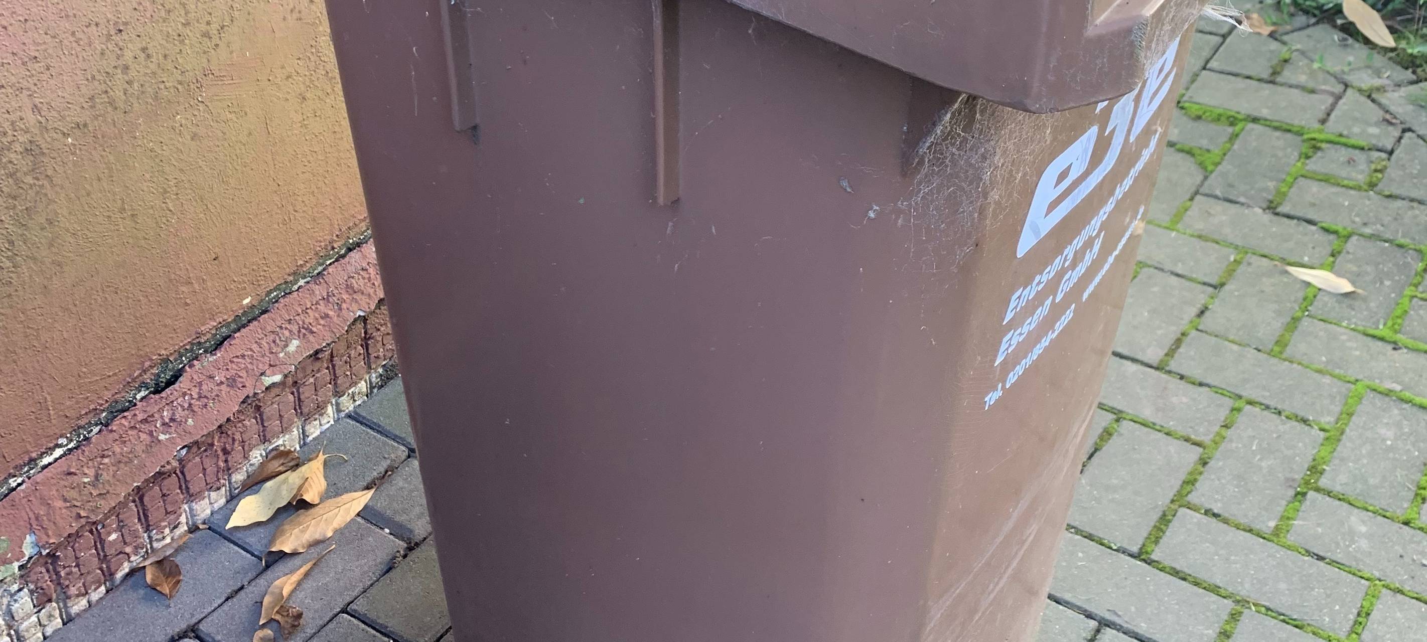 Saisonale Biotonne in Lippstadt