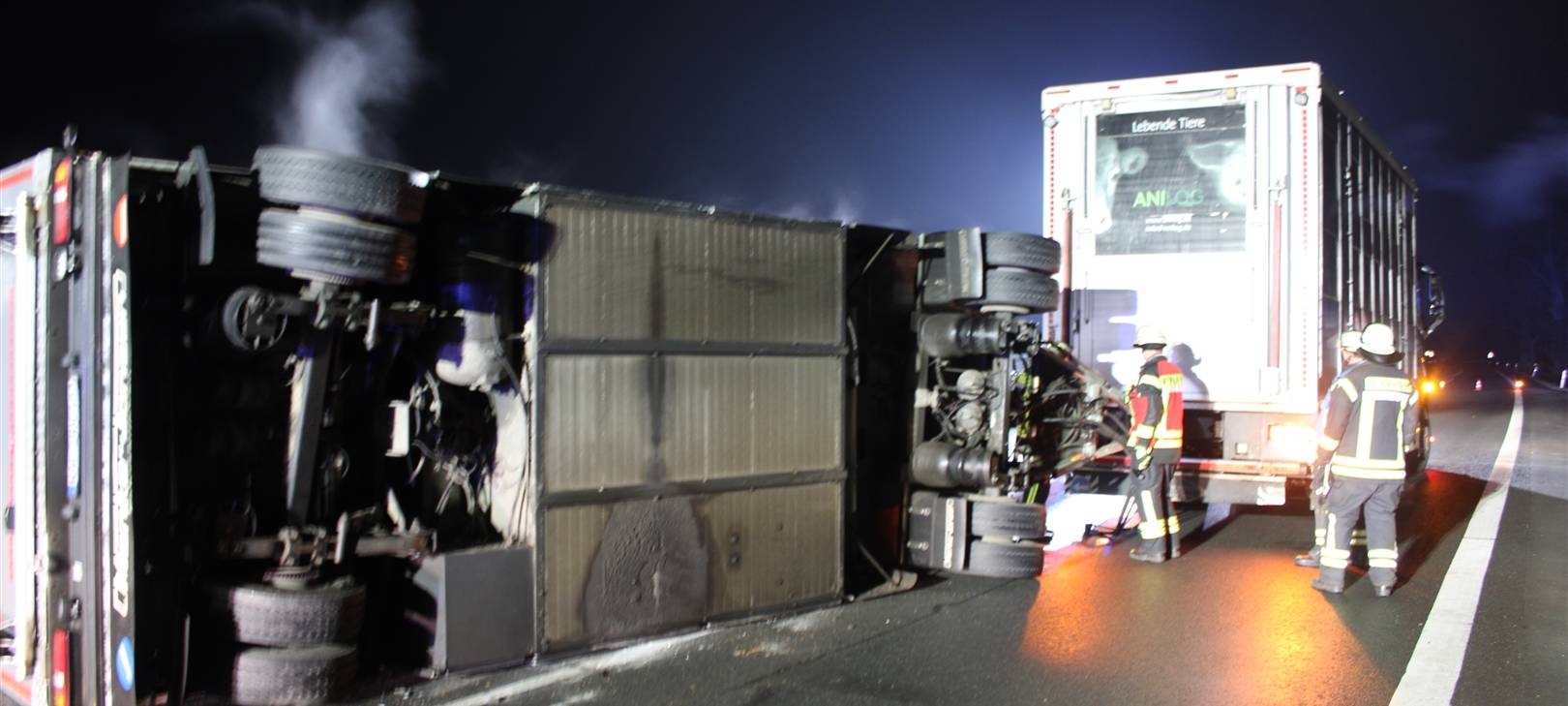 Auf der Dolberger Straße in Lippstadt-Lippborg ist ein Transporter mit 80 Schweinen umgekippt.