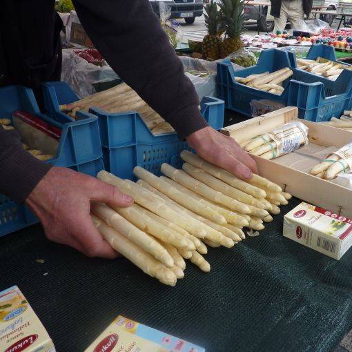 Die ersten Stangen sind jetzt erhältlich. Eigentlich startet die Saison später.