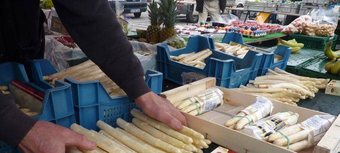 Die ersten Stangen sind jetzt erhältlich. Eigentlich startet die Saison später.