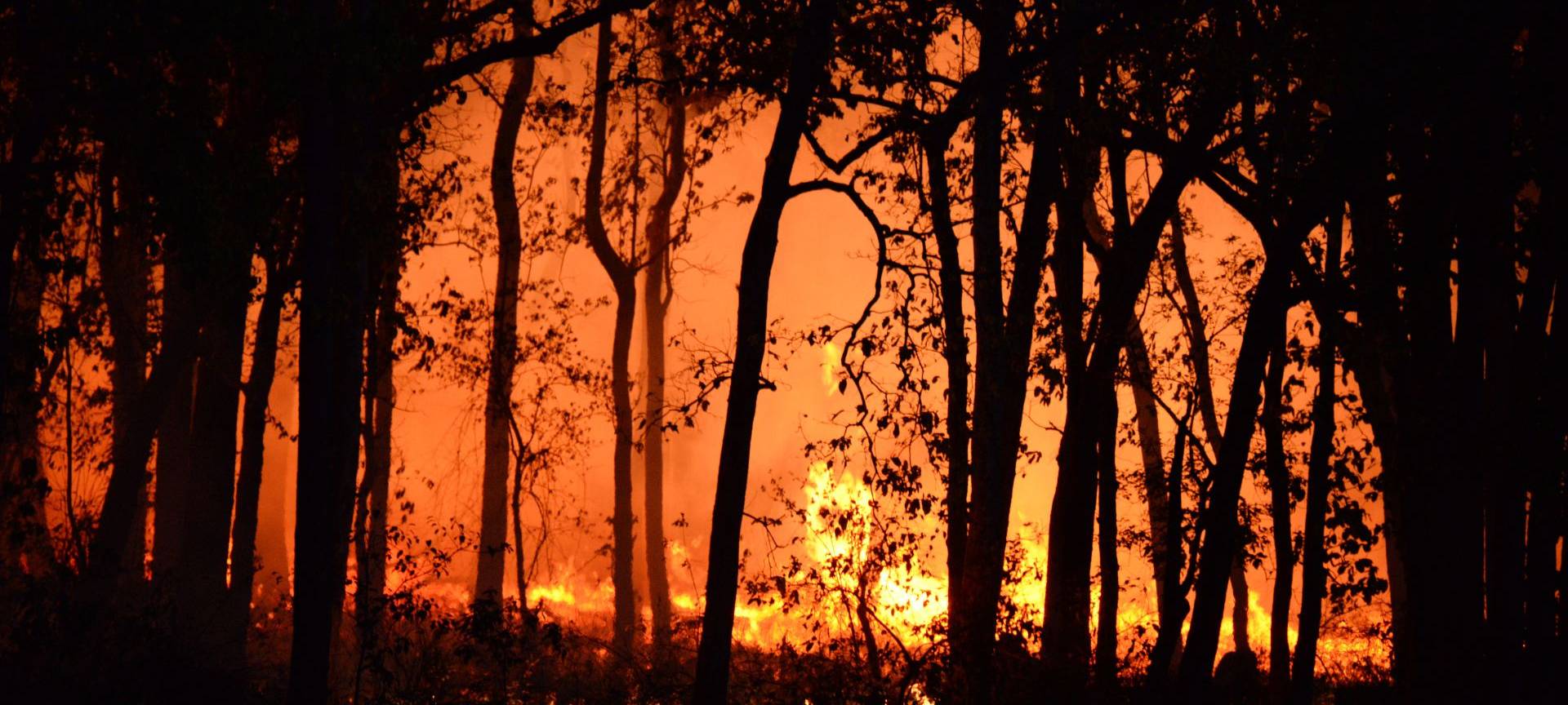 Waldbrandbekämpfung: Soester Feuerwehren schulen sich!