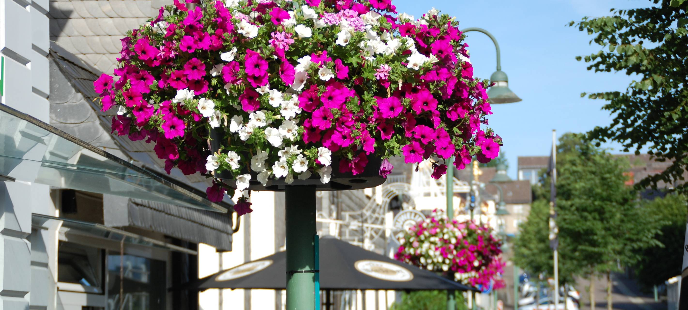Veranstaltungstipps für euer Wochenende im Kreis Soest
