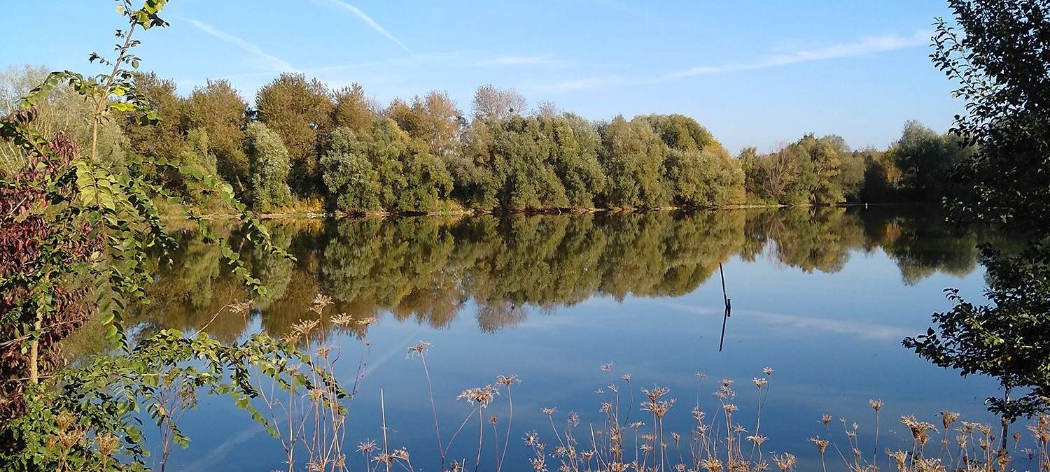 Führung zu den Hattroper Klärteichen