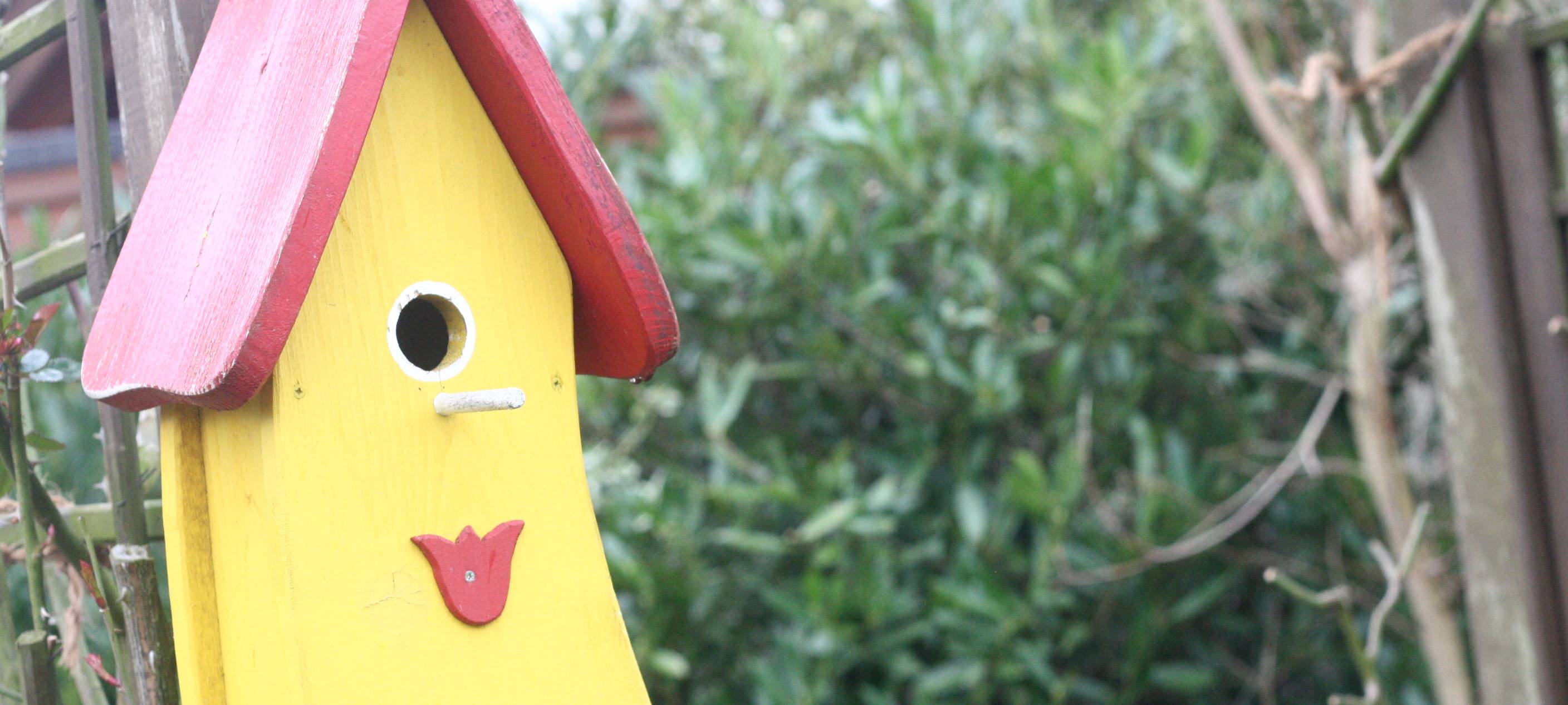 Nisthilfen zum Start der Brutsaison bauen