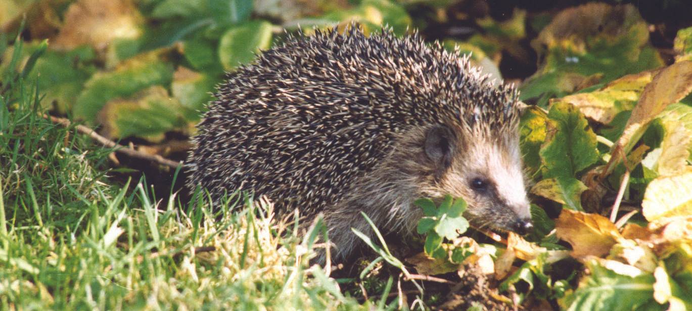 (bild dürfen wir benutzen!)