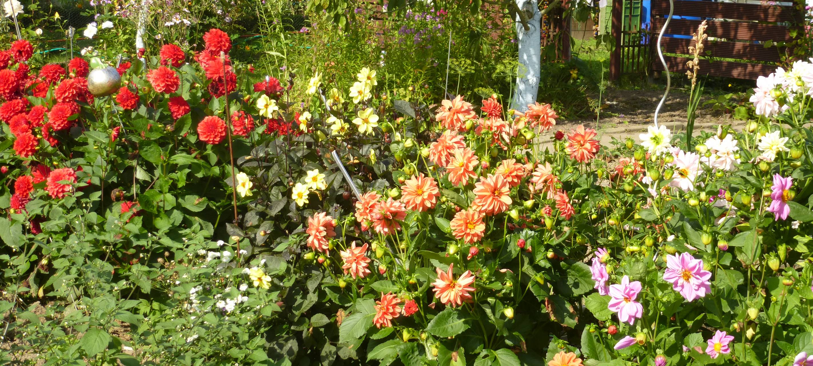 Offene Gärten im Kreis Soest