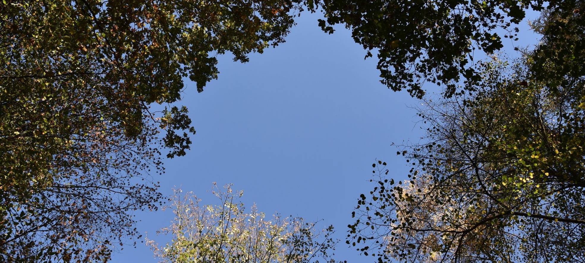 Zwei neue Trekkingplätze im Arnsberger Wald