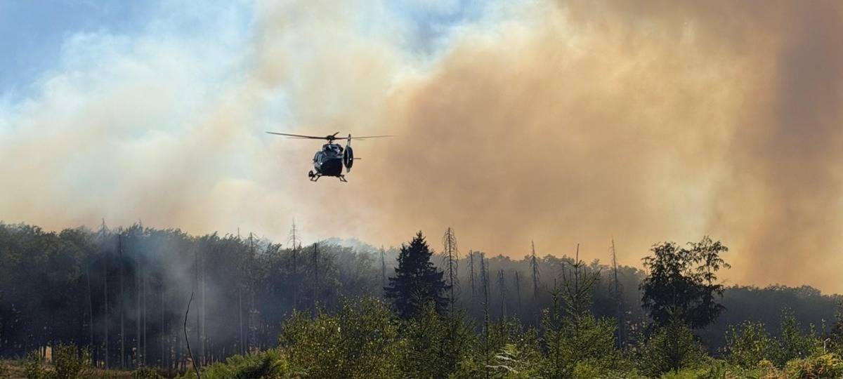 Waldbrand am Möhnesee: Feuerwehr im Einsatz