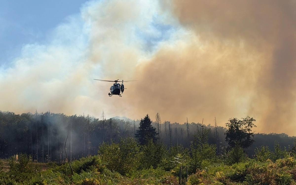 Waldbrand am Möhnesee: Feuerwehr im Einsatz