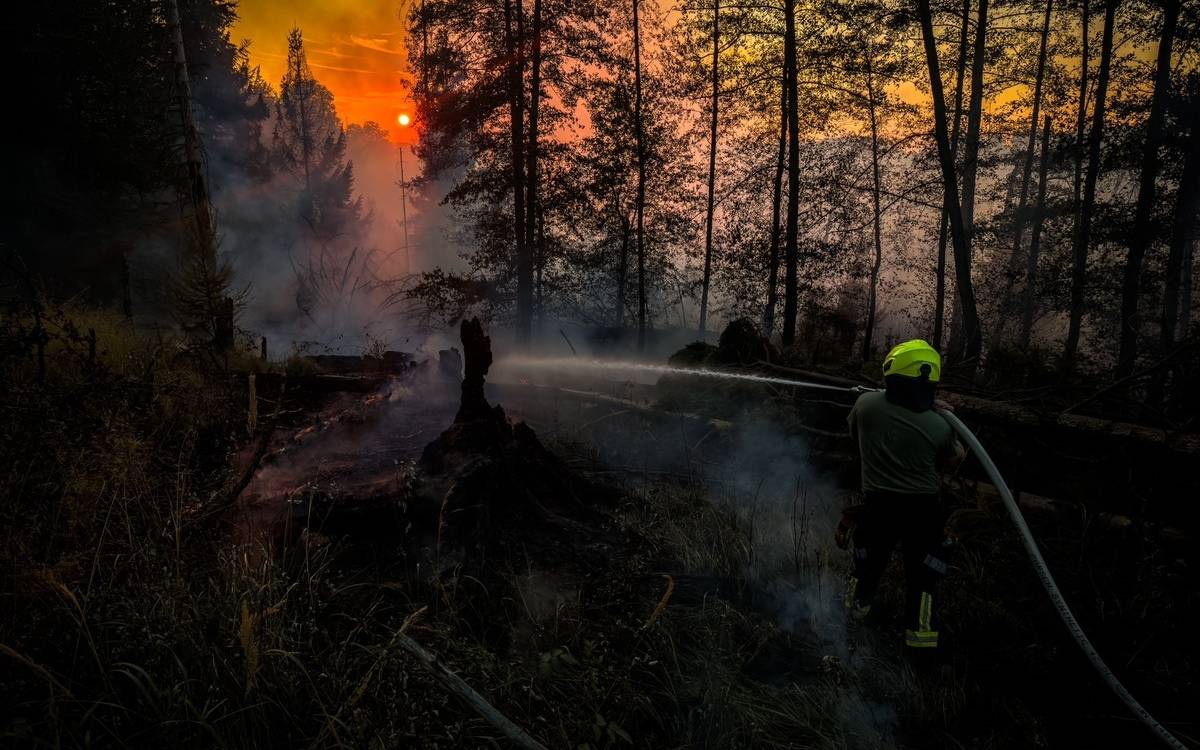 Live-Ticker: Großeinsatz wegen Waldbrand am Möhnesee