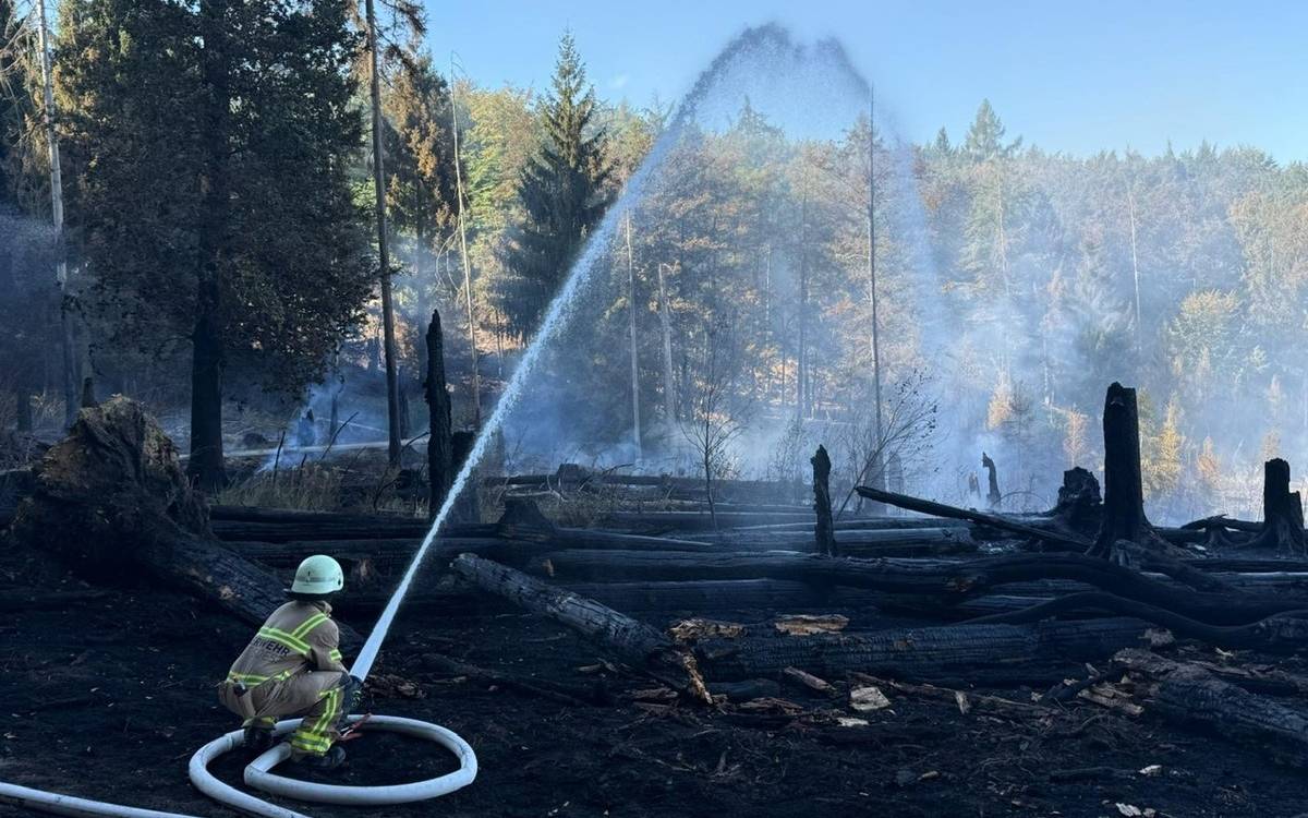 Waldbrand: Großeinsatz am Möhnesee dauert an