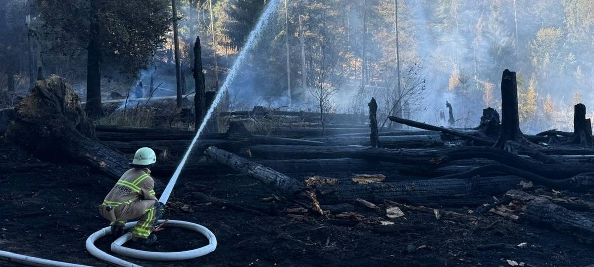 Waldbrand: Großeinsatz am Möhnesee dauert an