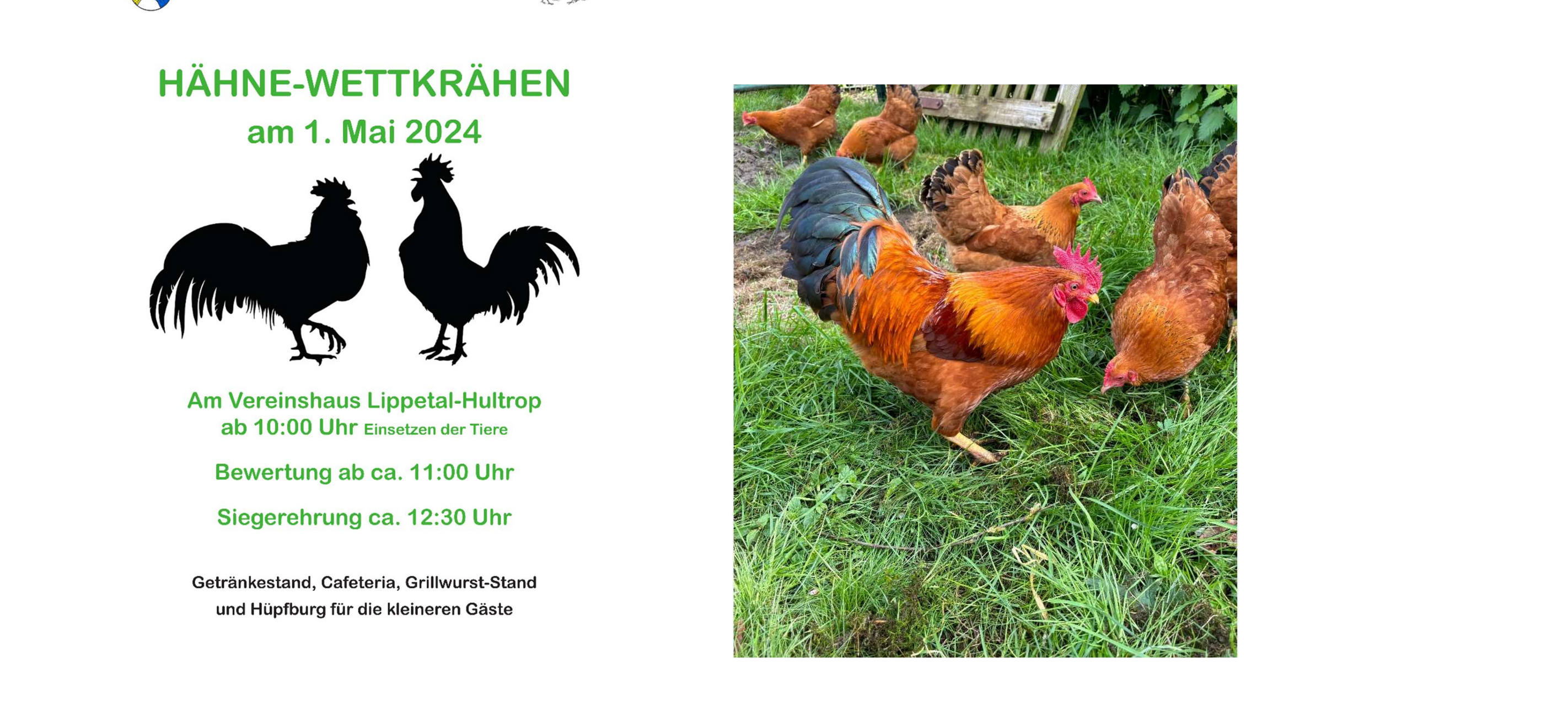 Hähnewettkrähen des RGZV Lippetal-Oestinghausen 1913 e.V.